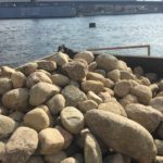 IMG 20190109 WA0011