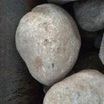 IMG 20190109 WA0090