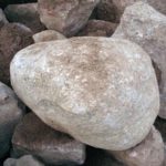 IMG 20190109 WA0092